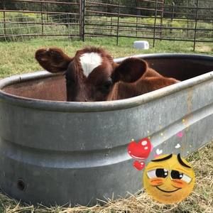 Meet your Posher, Melanie